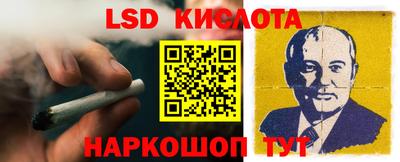 крисы Камышлов