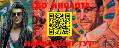 крисы Камышлов