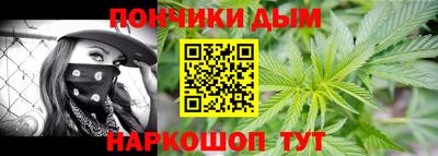 крисы Камышлов
