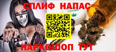 крисы Камышлов