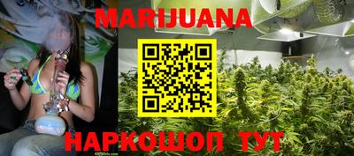 крисы Камышлов