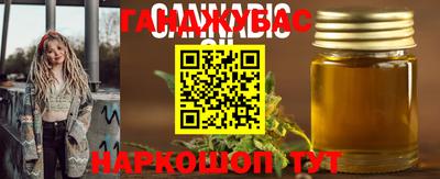 крисы Камышлов