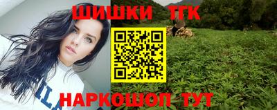 крисы Камышлов
