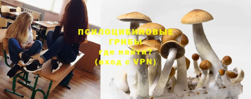 Псилоцибиновые грибы Psilocybine cubensis  мориарти формула  Старая Купавна 