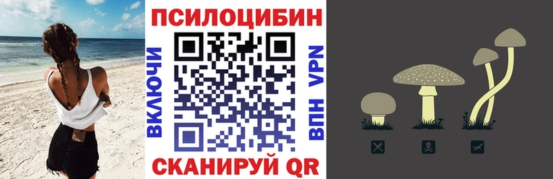 цены   Старая Купавна  Псилоцибиновые грибы мицелий 