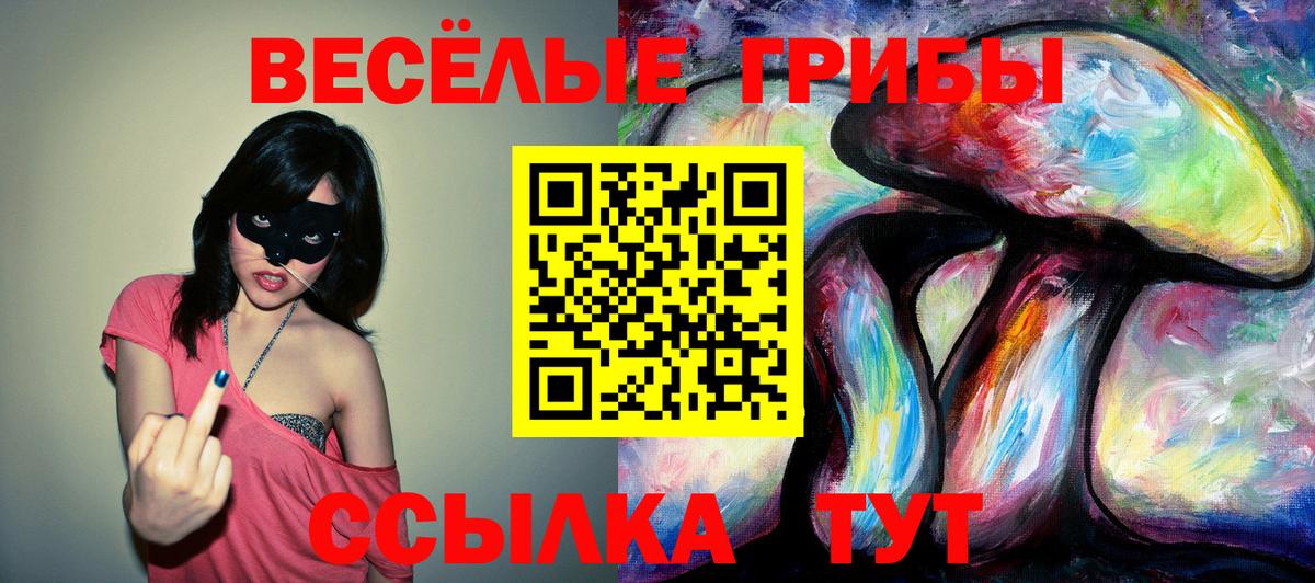 Галлюциногенные грибы прущие грибы Старая Купавна