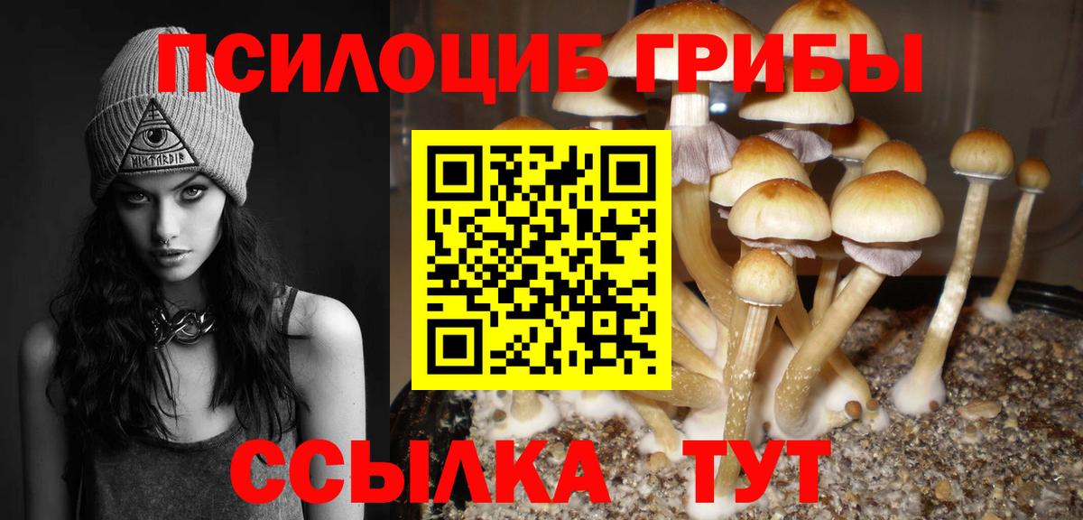 Старая Купавна  Псилоцибиновые грибы Psilocybe  Вход с VPN 